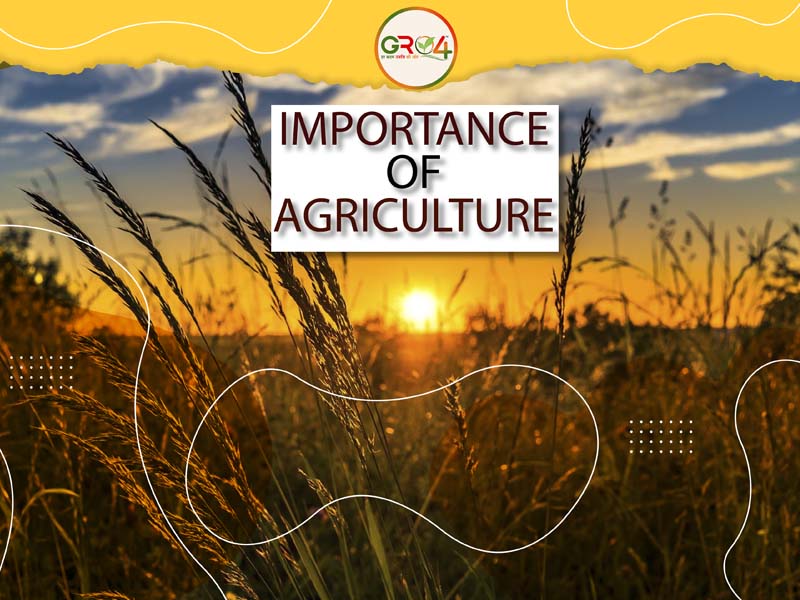 Importance of Agriculture and its Role in Our Daily Life